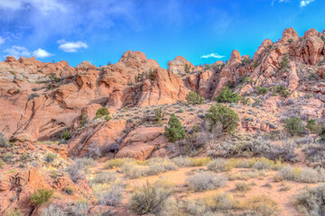 Fototapeta premium A rocky desert landscape with a few trees scattered throughout