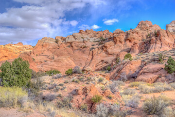Fototapeta premium A rocky desert landscape with a few trees scattered throughout