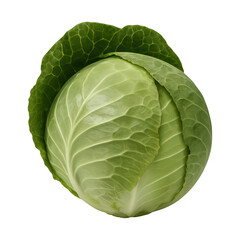 Obraz premium PNG Fresh green cabbage vegetable image.