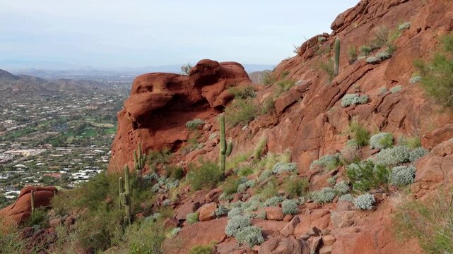 hiking in arizona desert (echo canyon camelback mountain hiking trail) southwest mountains hike cactus red rocks beautiful landscape scottsdale neighborhood outdoor adventure exercise view