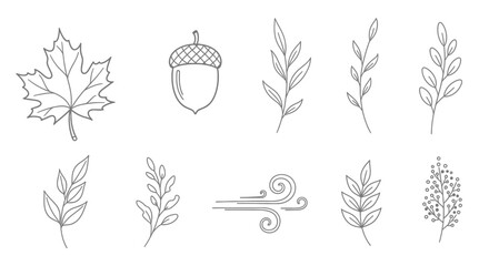 Hand-drawn autumn elements set with leaves, acorns, and branches. © Dika