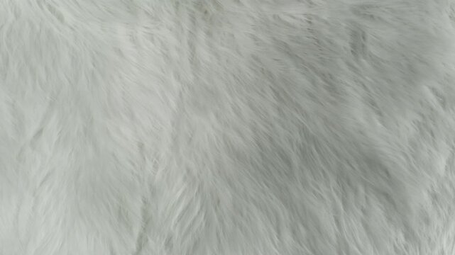 Waving White Animal Fur Texture Background in Slow Motion, 1000fps.