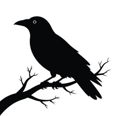 Obraz premium Black bird silhouette perched on a tree branch desi