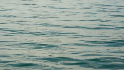 Calm Waters: A serene view of gentle ripples dancing across the tranquil surface of a vast body of water, inviting a sense of peace and contemplation.