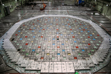 Reactor lid in nuclear power plant