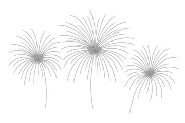 Fireworks bursts creating a festive celebration on transparent background