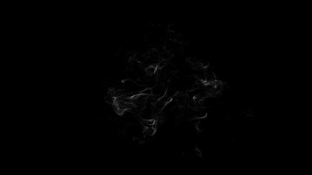 White Ink Fluid Smoke Overlay Graphic Element VFX &ndash; 5 Clip Pack