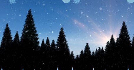 Naklejka premium Framing conifer tree line forming jagged horizon at forest edge with sunburst and falling flakes