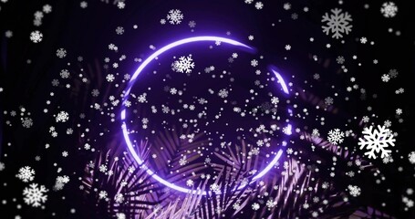 Naklejka premium Glowing purple open neon ring centering scene in studio, with dark fronds and falling snowflakes