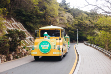 Obraz premium Taejongdae resort natural Park landscape with Yeongdo Lighthouse, Taejongdae Cliffed Coast, Yeongdo, Busan, South Korea, sea shore view in a spring day, travel to South Korea