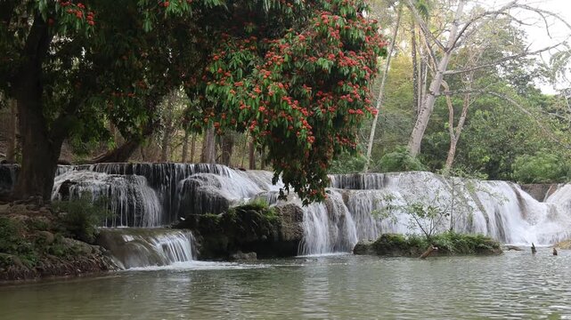 Namtok Chet Sao Noi or Chet Sao Noi waterfall, 
with the Saraca indica tree in full bloom, displaying vibrant orange-red flowers.
Saraburi province ,THAILAND