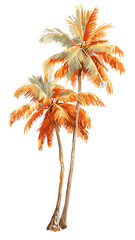 Two Palm Trees with Orange and Green Fronds Isolated on White Background