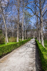 Retiro Park in Madrid