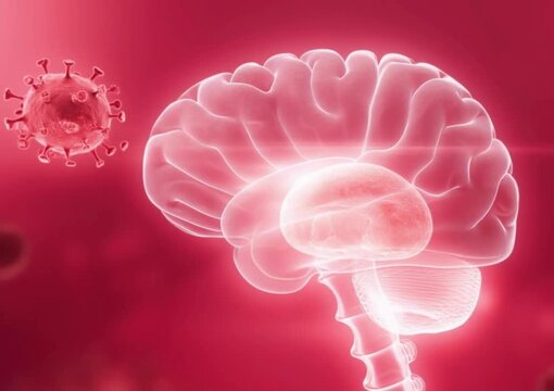 Virus near translucent human brain model, subtle glow highlighting encephalitis  area, scientific visualization, red medical tone, high resolution