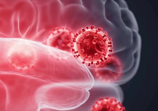 Virus near translucent human brain model, subtle glow highlighting encephalitis  area, scientific visualization, red medical tone, high resolution