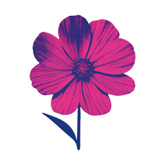 Fototapeta premium PNG Vibrant pink flower illustration