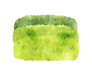 茶畑をイメージしたイラスト　水彩風加工バージョン