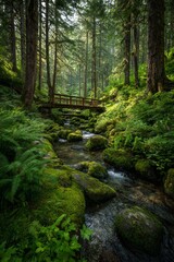 Obraz premium Green forest scene with a stream, mossy rocks, and a wooden bridge in bright sunlight near tall trees