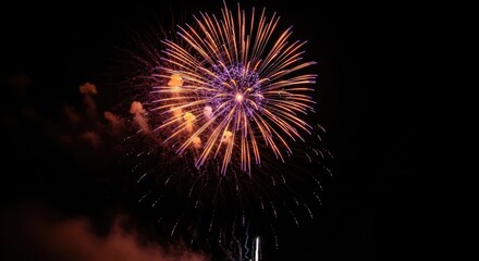 Colorful Fireworks Exploding Dark Night Sky