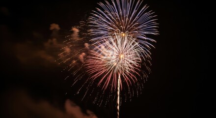 Obraz premium Fireworks exploding night sky dark celebration