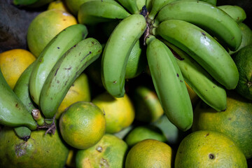 Frutas tropicales frescas en finca colombiana con tomates, mango, mandarinas, naranjas y bananos © Sebast