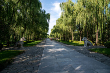 Obraz premium Ming Tombs Sacred Route Beijing - Weeping Willows and Stone Lions