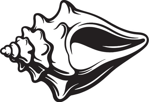 Queen Conch Black and White 3D Line Art Illustration Isolated on White