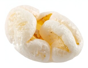Close-up of a single puffed grain, with white and yellow tones