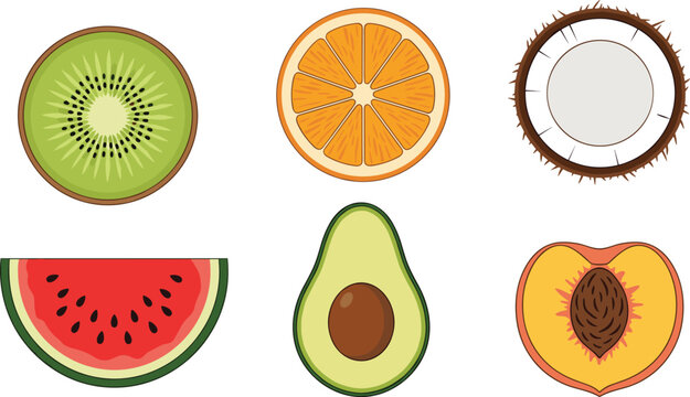Collection of Flat Vector Illustrations Featuring Cross Sections and Halves of Kiwi Orange Coconut Watermelon Avocado and Peach Fruit Set