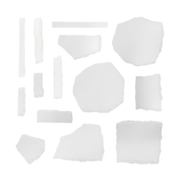Assortment of torn paper pieces and shapes in various sizes