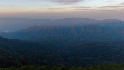 Fototapeta premium Morning landscape of summer forest Summertime landscape of beautiful nature