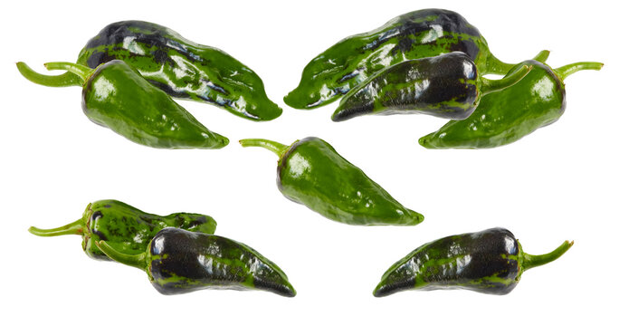vibrant green padron peppers with darker speckles, arranged in groups on a transparent background.