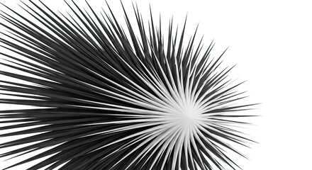 Abstract Black and White Spiky Object