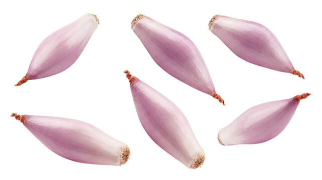 a group of six whole shallots, meticulously peeled and positioned on a deep transparent background, showcasing their elegant elongated form for culinary inspiration.
