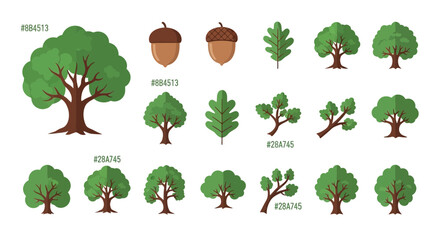 Illustrations showcasing trees and acorns in a playful and cartoonish style for educational designs © punduh