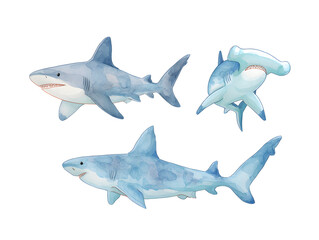 Obraz premium shark isolated on white background