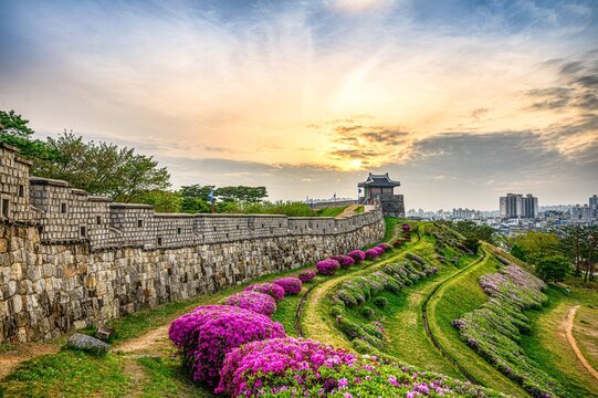Sunset view at Hwaseong Fortress, a UNESCO World Heritage Site. Hwaseong Fortress in spring, Suwon, South Korea.