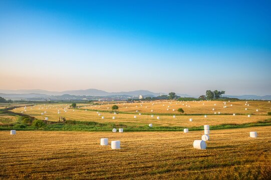 Spring sunrise, full of haystacks and abandoned barns, Anseong Ranch, Anseong-si, Gyeonggi-do, South Korea