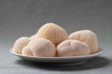 Fresh Lion's Mane mushroom,(Hericium erinaceus) on a white plate, known for nootropic benefits and medicinal properties © nungning20