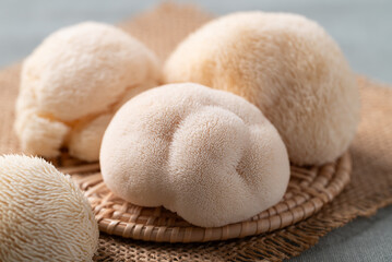 Fresh Lion's Mane mushroom,(Hericium erinaceus), known for nootropic benefits and medicinal...