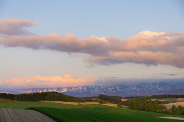 北海道美瑛2025春-畑のある風景-04