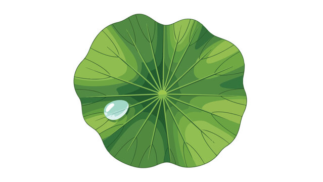 A serene vector illustration of a healthy green plant leaf with prominent veins, holding a single, sparkling water droplet, evoking freshness and