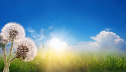 Dandelion Against Blue Sky Illustration Background