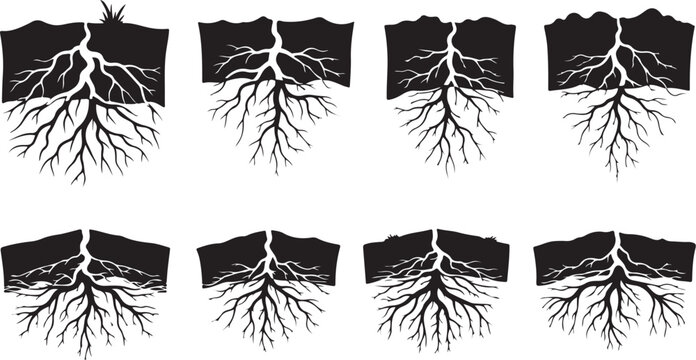 Collection of various tree root system illustrations in black