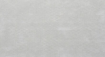 Fototapeta premium Light gray subtle paper texture background with fine grain and a smooth matte finish