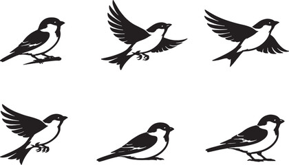 Sparrow Silhouette Bundle Black White Sparrow Bird Poses