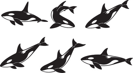 Orca Black White Silhouette Set © Pham