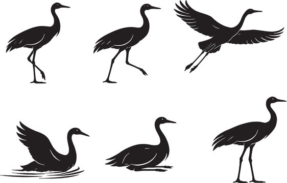 Crane Black White Silhouette Set