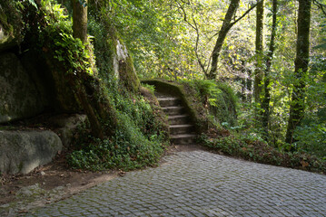 Pena Palace in Sinatra, Portugal steps leading to gardens