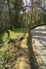 Driveway into the Pena Palace